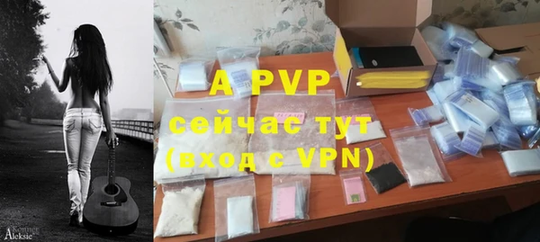 дурь Бородино