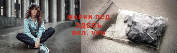 дурь Бородино