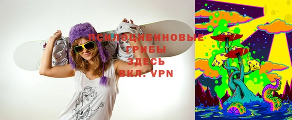 дурь Бородино