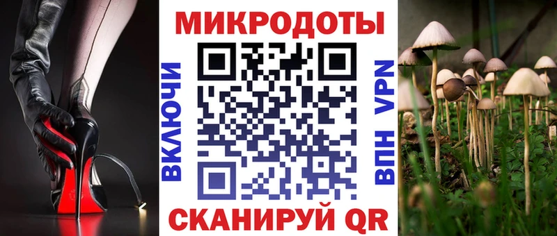 Купить закладки  Элиста  Псилоцибиновые грибы MAGIC MUSHROOMS 